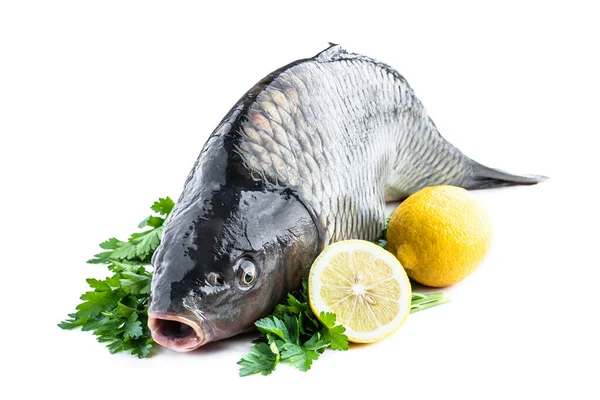 白で隔離されたパセリとレモンと大きな新鮮な鯉魚 — ストック写真