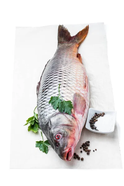 Süßwasser Karpfenfische Isoliert Auf Weiß — Stockfoto