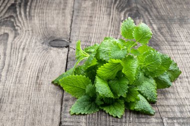 Kırsal ahşap masada bir demet taze Melissa Bitkisi. 