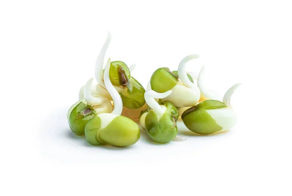 Haricots Mungo Germés Isolés Sur Fond Blanc — Photo