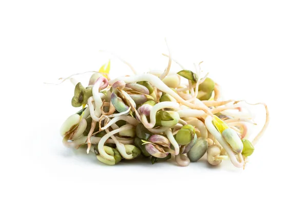 Sprouted Mung Beans Isolated White Background — ストック写真