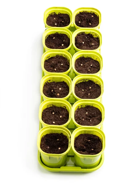 Toprağa tohum ekiyorum. Beyaza izole edilmiş plastik kaplarda. 