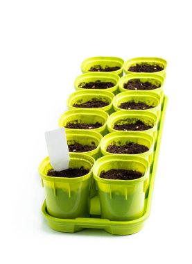 Plastik kaplarda toprağa tohum ekiliyor ve etiketi beyaza yapıştırılıyor. 