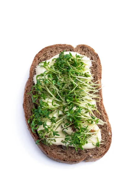 Wholemeal Toastwith Soft Cheese Lot Cress Salad Isolated White — Stock Photo, Image