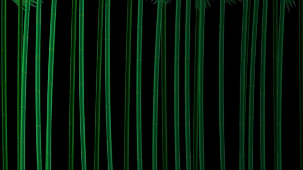 Ilustração Vídeo Lua Cheia Movimento Com Bosque Bambu — Vídeo de Stock