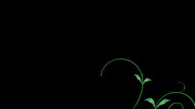 Klasik sarmaşıkların büyüdüğü ve çiçeklerin açtığı bir görüntü.