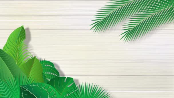 Video Material Tropical Plant Leaves White Walls — Stock Video