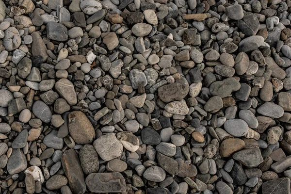 Πέτρα βότσαλο υφή στην παραλία Εικόνα Αρχείου