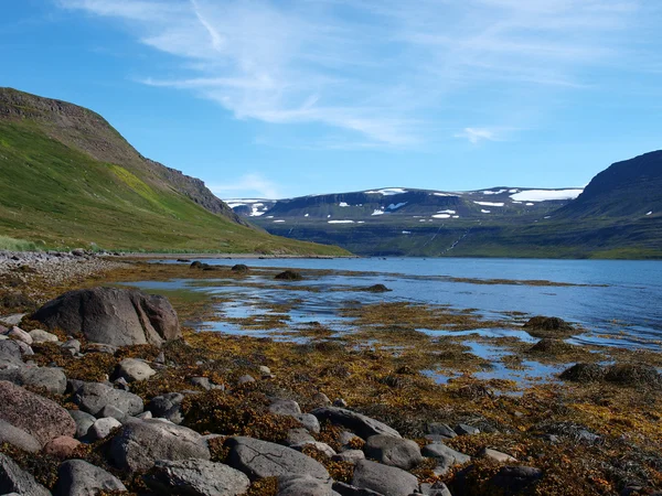 Rezerwat przyrody Hornstrandir, Islandia — Zdjęcie stockowe