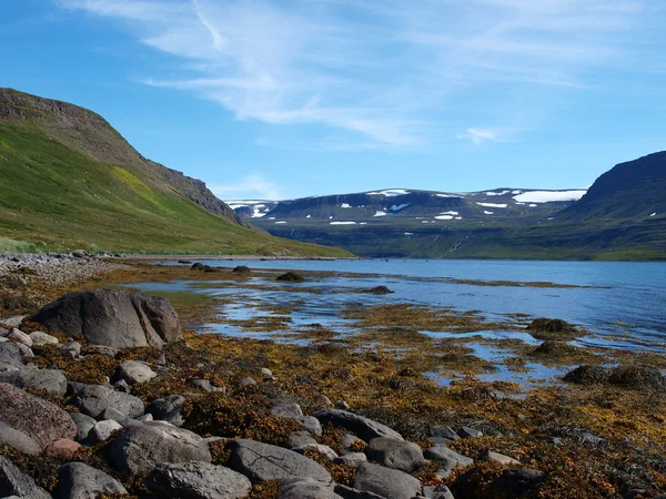 Hornstrandir naturreservat, Island — Stockfoto