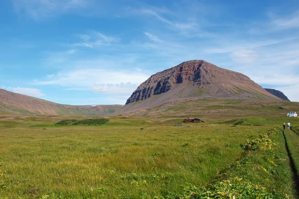 Природний заповідник Hornstrandir, Ісландія Стокова Картинка