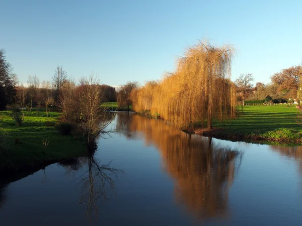 Trees reflections at dawn, Vonne river in Winter — Stock Photo, Image