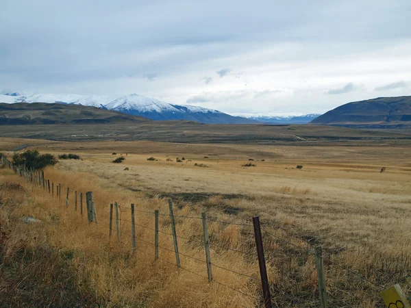 Patagonie podzim, severně od puerto natales — Stock fotografie