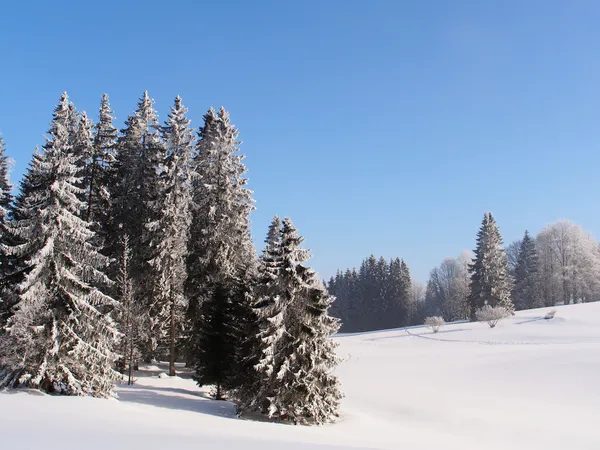 Jura mountain im winter, mont d oder region — Stockfoto