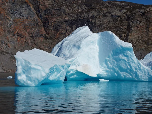 Bergy bit, Greenland — Stock Photo, Image