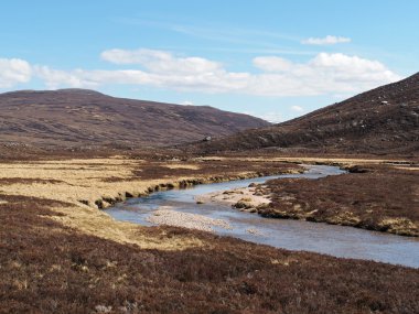 geusachan yakmak, dağ cairngorms, İskoçya'da bahar