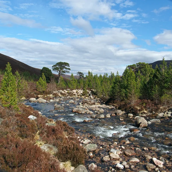 Góry Cairngorms, gleann laoigh bheag, Szkocji na wiosnę — Zdjęcie stockowe