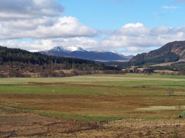 Spey valley, west of Laggan, Scotland in spring clipart