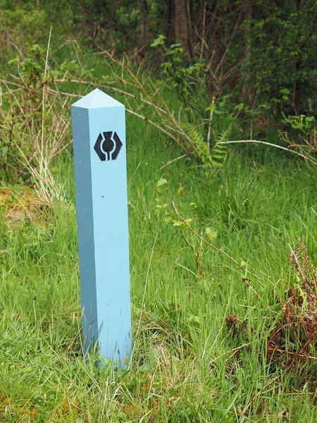 Thistle sätt mark, bra Glen sätt, Skottland — Stockfoto