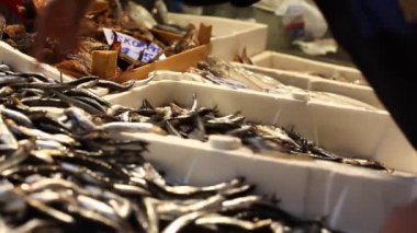 deniz gıda market, hamsi balığı, istanbul