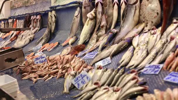 海食品市场伊斯坦布尔 — 图库视频影像