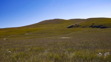 Spteppes grass land hills landscape