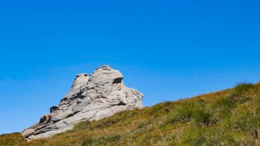 Carqaiman 'daki tepede roick düzeni