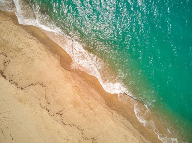 Dalgaların ve kumsalın üstünde