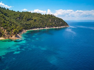 Forest enter in the sea view