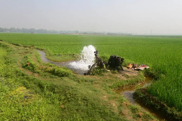 バングラデシュのダッカ郊外のジャマルプル郡の移植水田では 202年3月11日にディープチューブによる灌漑が行われている — ストック写真