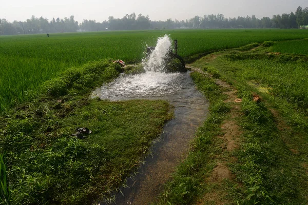 バングラデシュのダッカ郊外のジャマルプル郡の移植水田では 202年3月11日にディープチューブによる灌漑が行われている — ストック写真