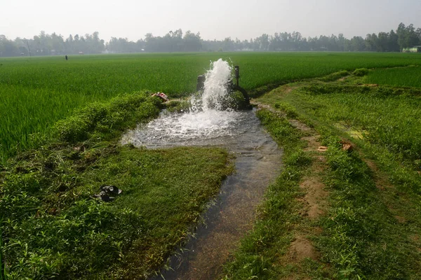 Bevattning Deep Rör Brunn Görs Transplanterade Paddy Fält Jamalpur District — Stockfoto