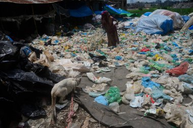 Plastik şişelerin geri dönüşümü son birkaç yıl içinde büyüyen bir iş haline geldi ve çevrenin korunmasına yardımcı oldu. Bangladeş PET Flakes Üreticiler ve İhracatçılar Derneği 'ne (BPFMEA) göre, bir mağaraya Bangladeş ihracatı