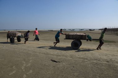 8 Aralık 2018 'de Cox' s Bazar 'daki Naziratek köyünde işçiler balık taşırken görüldü. Cox 's Bazar havaalanı yakınlarındaki Bengal Körfezi' nin kesiştiği sahildeki Naziratek, son on yılın en büyük shutki mahal 'i oldu. Nazi