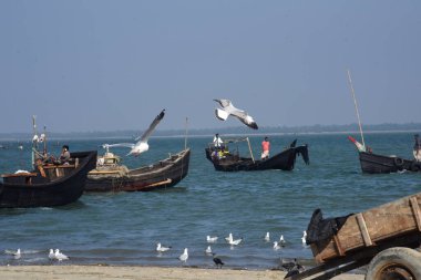 8 Aralık 2018 'de Bangladeş' in Cox Bazar kentindeki Naziratek balıkçı köyünün yakınlarındaki tekneden balık boşaltan balıkçılar görülüyor. Bengal Körfezi 'nin kesiştiği sahildeki Naziratek ülkenin en büyük Shizuki Mahal' i haline geldi..