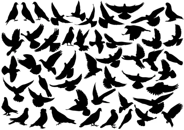 Dove silhouettes — Stock Vector