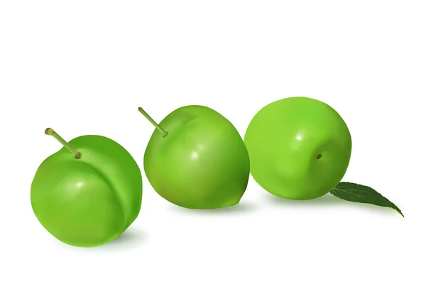 Three plums — Stock Vector