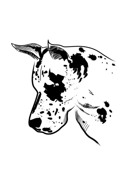 Dalma-yala köpek — Stockvektor