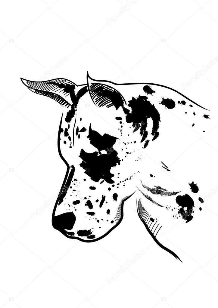 Black white dog