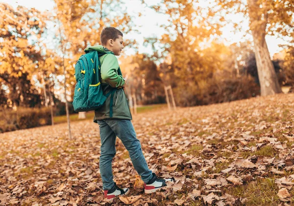 Menino Escola Com Mochila Andando Parque Outono — Fotografia de Stock