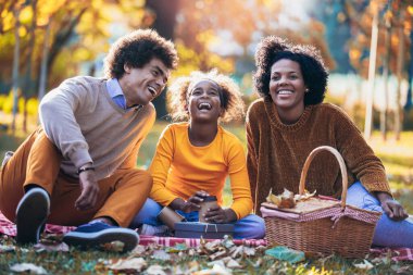 Karışık aile parkta piknik yaparken eğleniyor.