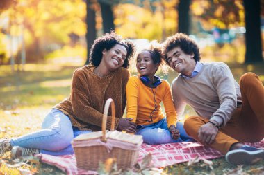 Karışık aile parkta piknik yaparken eğleniyor.