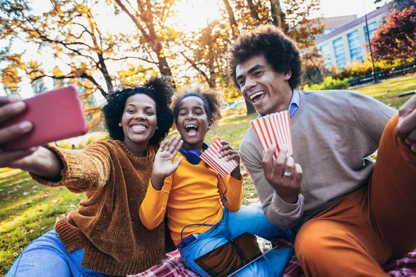 Blandet Familie Har Det Sjovt Mens Picnic Parken Gør Selfie - Stock-foto