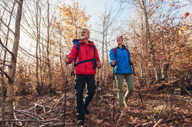 Doğada yürüyüş yapan, orman yolunda yürüyen ve konuşan iki gezgin.
