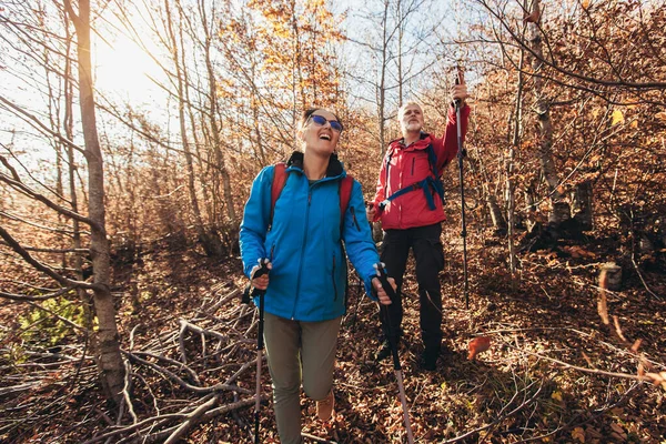 Couple Travellers Hiking Nature Walking Talking Forest Path Together — Stock Photo, Image