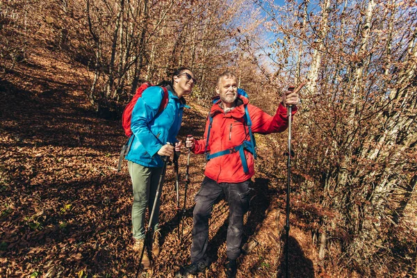 Para Podróżników Wędrujących Przyrodzie Spacerujących Rozmawiających Razem Ścieżką Leśną — Zdjęcie stockowe