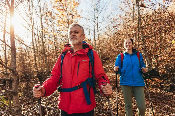 Para Podróżników Wędrujących Przyrodzie Spacerujących Rozmawiających Razem Ścieżką Leśną — Zdjęcie stockowe