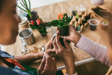 Anne ve kızı evde ekim yapıyor. Eski teneke kutuları, plastikleri, karton ve bitki tohumlarını geri dönüştürme ve geri dönüştürme.