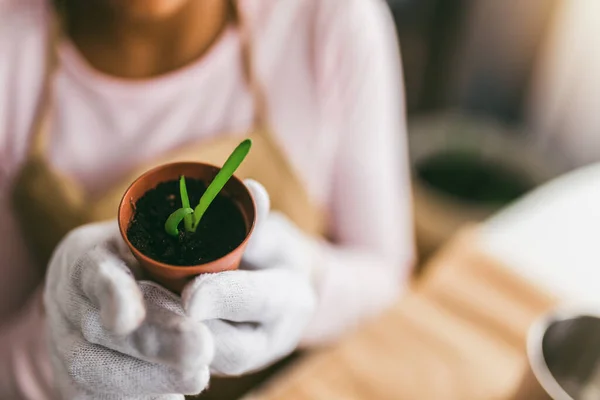 子供の手のクローズアップは 自宅で鉢に植物を植えることです — ストック写真