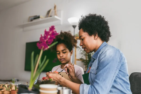 Mor Och Dotter Planterar Hemma Återvinning Och Återvinning Gamla Plåtburkar — Stockfoto